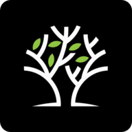 Logo de Lil Pilates